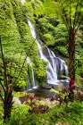Banyumala Twin Waterfalls, located in the North Bali region near the village of Wanagiri. Art Print